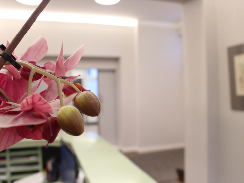 Behandlung lästiger Besenreiser und Krampfadern