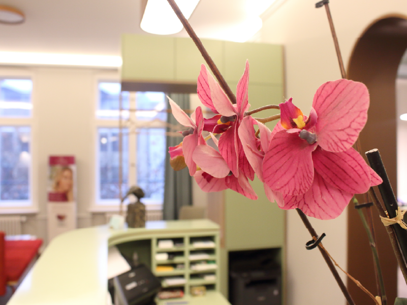 Hautkrebs­vor­sorge und Behandlung von Hautkrebs