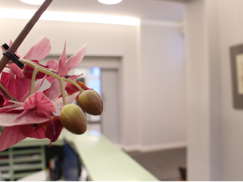 Masseter & BTX in Berlin | Ihr Termin bei Myskin