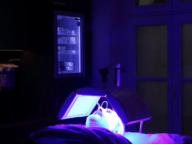 Kleresca Bio-Photonic Myskin